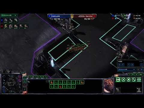 PRO ZvT: Nerchio vs Demuslim EU Veterans