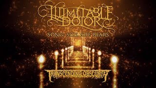 ILLIMITABLE DOLOR (Australia) - Soil She Bears (Atmospheric Death/Doom Metal) Transcending Obscurity