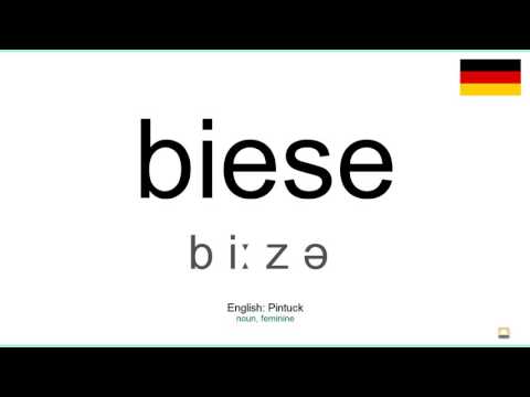 How to pronounce: Biese (German)