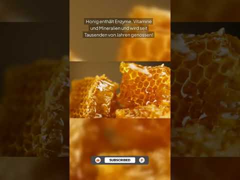 Wusstest du schon? #01 Bienen Nahrung?