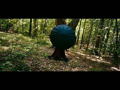 ShataQS - Nasza Rzeczywistość (oficjalne wideo / official video) A=432hz