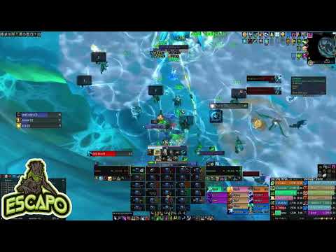Pink Pony Death Squad vs. Sennarth, the Cold Breath NM - Restoration Druid PoV