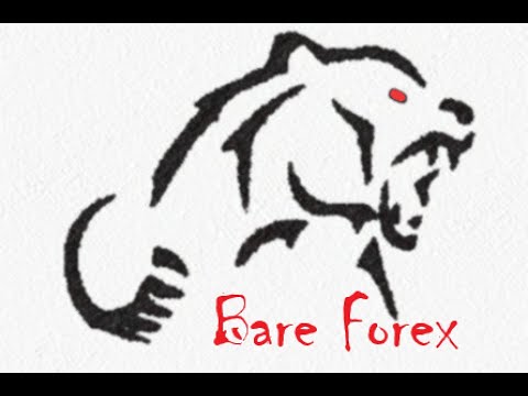 Forex Trading Daily - Bare Forex 09/02/2020