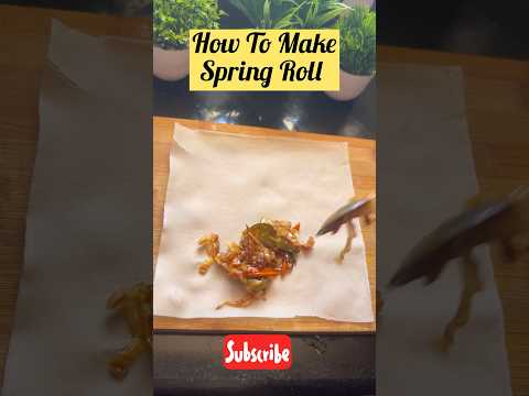 How to fold & wrap spring rolls 🤯 | easy spring rolls fold using switz sheet #shorts #shortaday #yt
