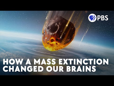 How a Mass Extinction Changed Our Brains