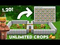 Minecraft Villager AFK Crop Farm 1.20 Tutorial - Potato Wheat Carrot
