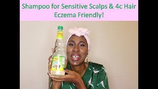 MOISTURIZING Shampoo - 4c low porosity hair safe for sensitive scalps and eczema