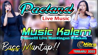 Download lagu DANGDUT KALEM PUOLLL PLAYER PAELAND MUSIC FULL ALBUM LIVE MANTINGAN NDUKOH 2022 mp3