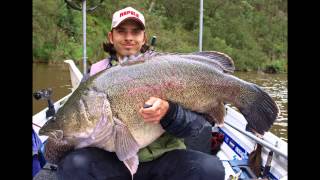 Googong Green & Gold Series Trailers (Including new GGG Strike 3 DVD)