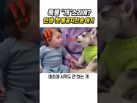 태어나서 처음 