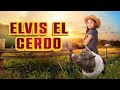 ELVIS EL CERDO HD PELICULA FAMILIA EN ESPANOL LATINO