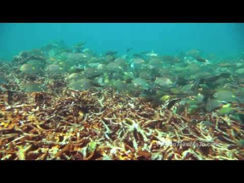 Perhentian Islands, Malaysia