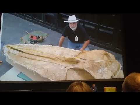 Richard Cerutti(My Grandpa)Was the one that discovered the Cerutti Mastodon! 