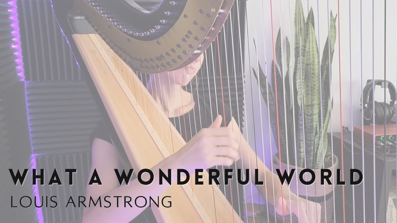Promotional video thumbnail 4 for Bridget Jackson Harp LLC