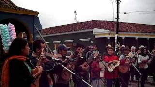 preview picture of video 'Los Utrera Tlacotalpan 2010'