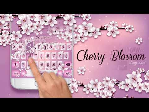Cherry Blossom Keyboard Theme Video