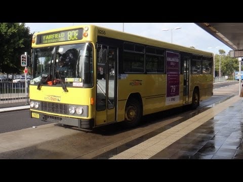 CDC NSW m/o 8255 - Volvo B10M Mk 3 (ZF/Custom Coaches Mk 88) - 808 Outbound