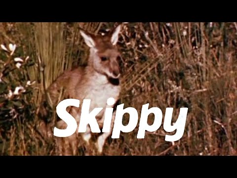 Classic TV Theme: Skippy