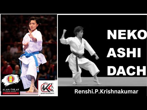 how to move in NEKO ASHI DACHI l cat stance - Shito Ryu stance