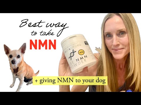 HOW & WHEN to take NMN/NR - Is Liposomal/Sublingual NMN better? | + How I give NMN to my dog