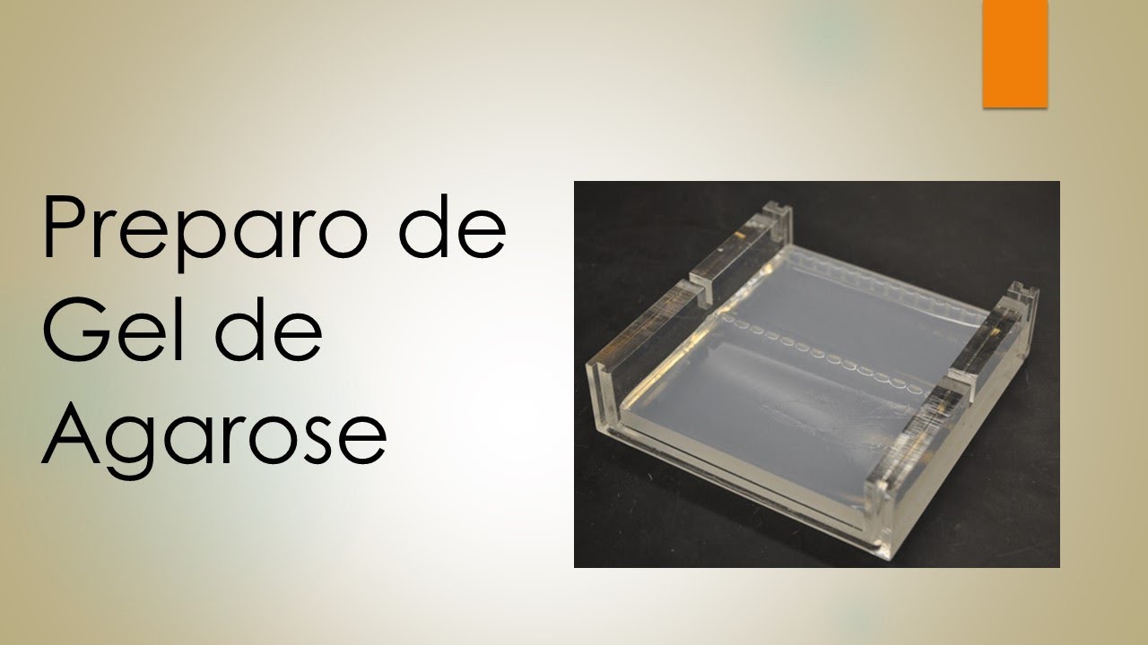 Preparo de gel de agarose