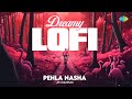Pehla Nasha Dreamy LoFi Jay Guldekar Jo Jeeta Wohi Sikandar Bollywood Romantic Song