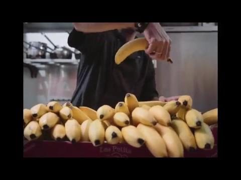 Zoologic - LMZG [ Electro Swing Live Band ] OFFICIAL VIDEO