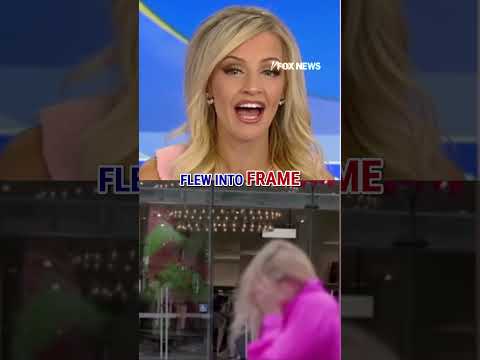 SEE IT: Bird flies into reporter's FACE mid-report #foxnews #news #us #fox