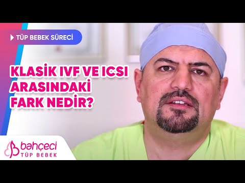 Klasik IVF ve ICSI Arasındaki Fark Nedir? Başarı Oranları Nelerdir?