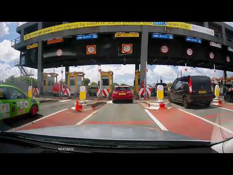 Hold your plums -  'Tete A Tete'