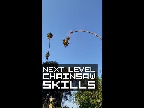 My Name Is Giovanni Giorgio. #shorts #skills #vertigo