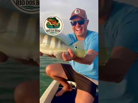 Pousada Rio dos bois / Inaciolandia #megabass #bassboat #mercury #pescaesportiva