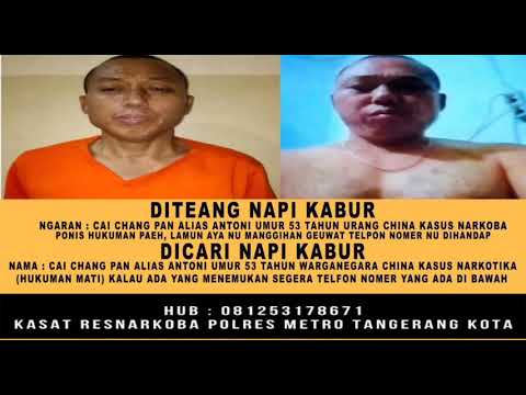 MENCARI JEJAK CAICANGPAN