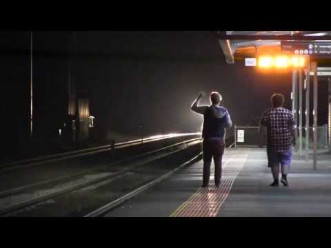 Bogans aroused by freight train - MP9 SCT service at Lara