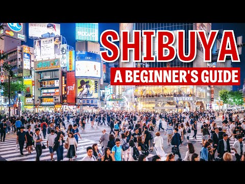 A Beginner's Guide To Shibuya