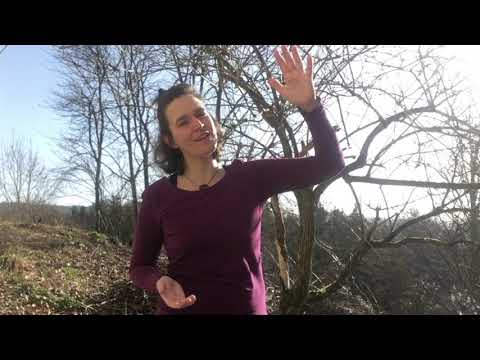 Waldorf Fingerspiel: Mutter Erde