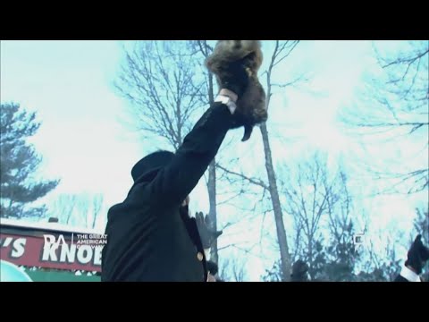 Groundhog Day 2026: Did Punxsutawney Phil see his shadow? Early spring or 6 more weeks of winter?