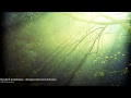 Phaeleh ft. Soundmouse - Afterglow (Akira ...