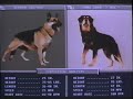 Man S Best Friend 1993 Trailer VHS Capture