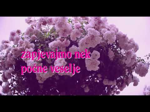 Mate Bulić - Svatovska (Official lyric video)