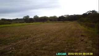 Dove Hunting In Iowa &quot;The Walk and shoot&quot;