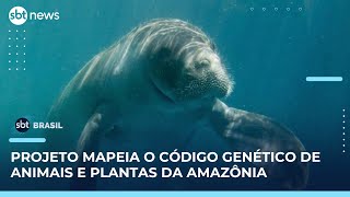 Miniatura do vídeo