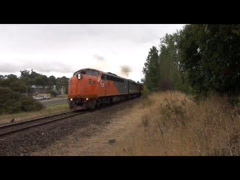 S302, S312 Leading empty El Zorro sand through Hamilton