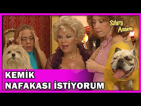 Taci'nin, Sokak Köpeğinden Çocuğu Oldu! - Sihirli Annem 69.Bölüm