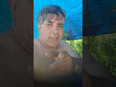 roque perez 09/11/25