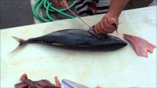 HAWAIIAN FISH CLEAN WITH UNIQUE EXPERTISE