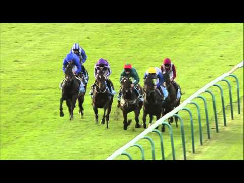 2014 Dubai Dewhurst Stakes - Belardo