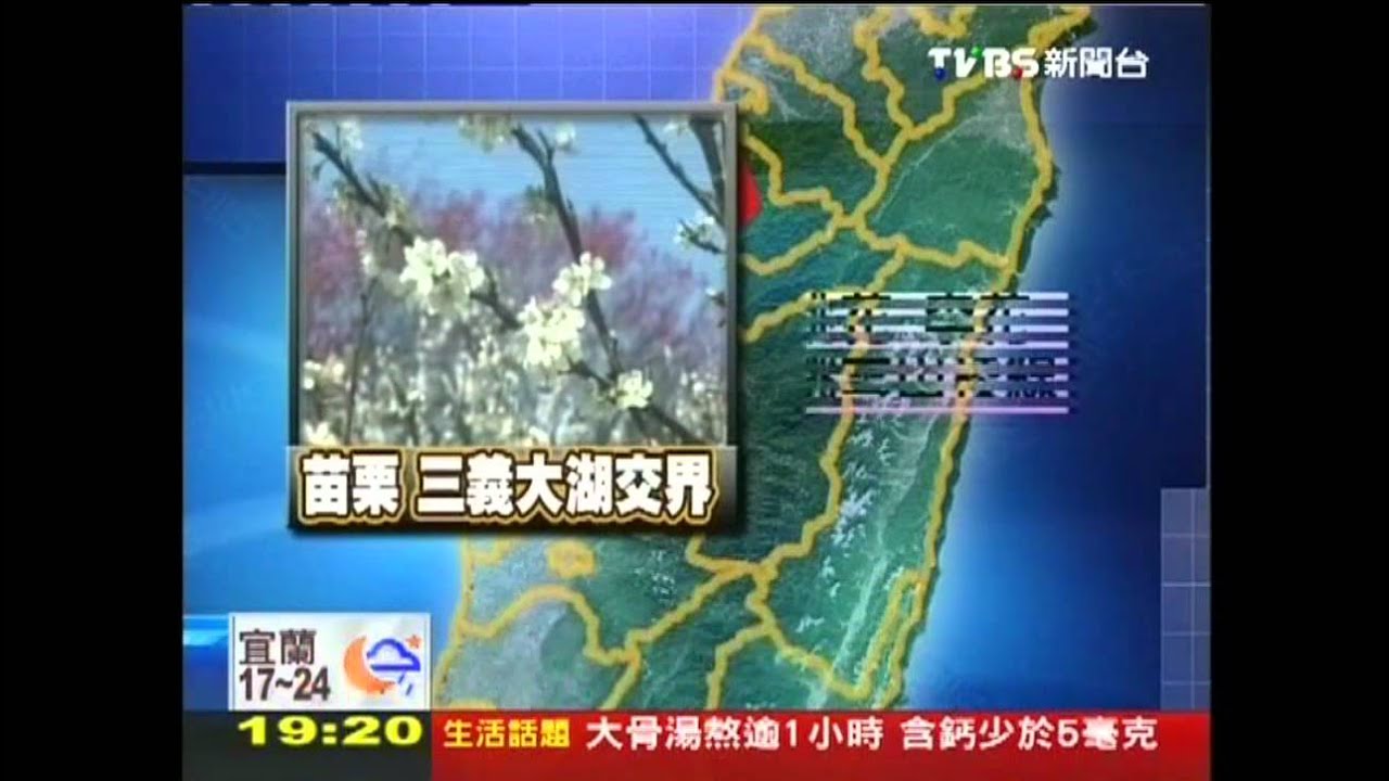 〈獨家〉櫻花祕境曝光吸客 賞花熱潮持續發燒