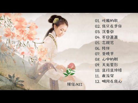陳佳 Chen Jia / KEI　《 軽談国学歌風雅 》第１９集 ～ 第２６集 MV特集