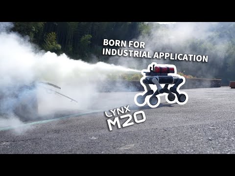 LYNX M20 Review Video 1